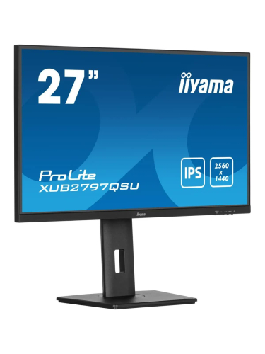 Монитор Iiyama 27" ProLite XUB2797QSU-B2 черный IPS LED 1ms 16:9 HDMI M/M матовая HAS Piv 1300:1 300cd 178гр/178гр 2560x1440 100Hz DP QHD USB 5.7кг