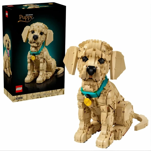 Конструктор LEGO 11384 Icons "Щенок золотистого ретривера"