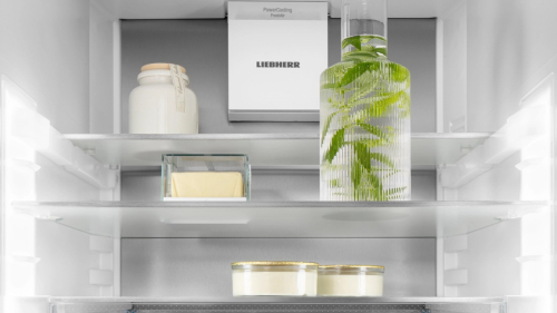 Встраиваемый холодильник Liebherr ICBNSd 5623