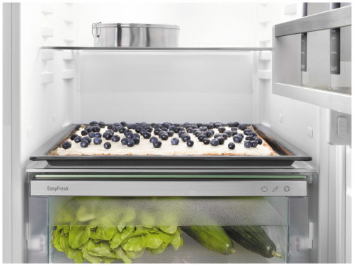 Встраиваемый холодильник Liebherr IRd 5100