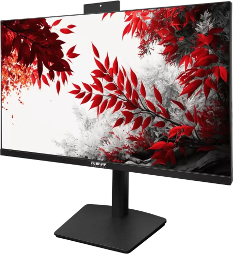 Монитор RDW Computers 24" 2402K F02В3100V2A1