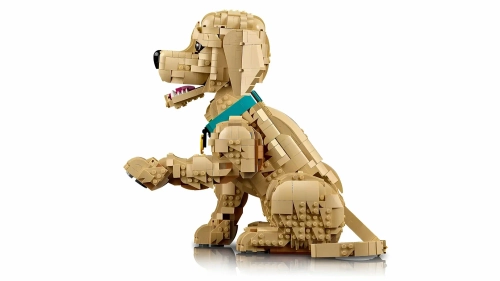 Конструктор LEGO 11384 Icons "Щенок золотистого ретривера"