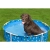 Каркасный бассейн для животных Bestway 561KM BW 122х30,5см "Fetchin' Fun Pet Play Pool"