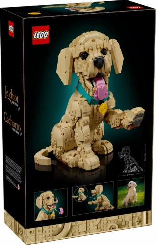 Конструктор LEGO 11384 Icons "Щенок золотистого ретривера"