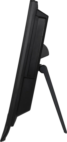 Моноблок MSI Pro AP162T ADL-013RU 15.6" Full HD Touch N100 (0.8) 4Gb SSD128Gb UHDG CR Windows 11 Pro клавиатура мышь Cam черный