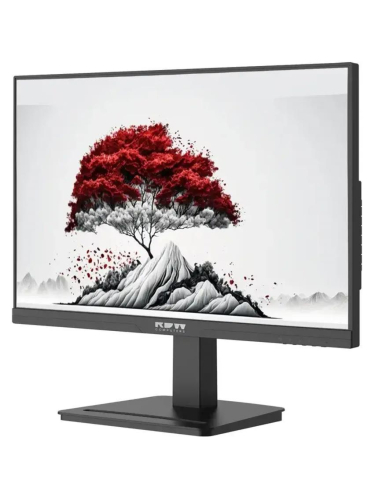Монитор RDW Computers 23.8" RDW2401K черный IPS 4ms HDMI M/M 350cd 178гр/178гр 1920x1080 120Hz VGA DP FHD USB (RUS)