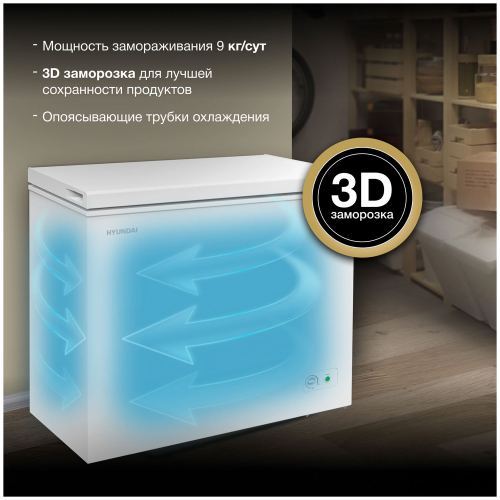 Морозильный ларь Hyundai CH20031